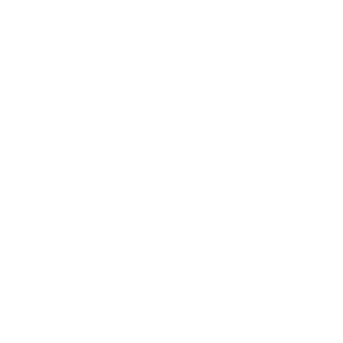Air New Zealand logo