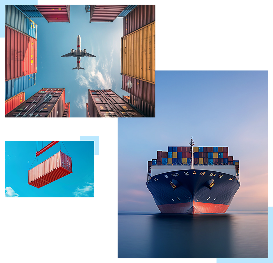 Cargo Tracking Software