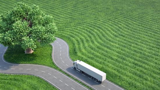 Truck around tree