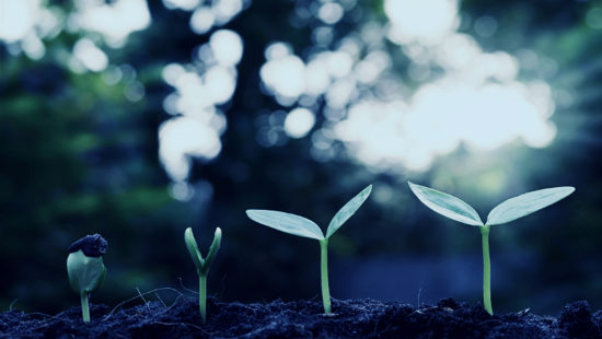 Sustainability in logistics