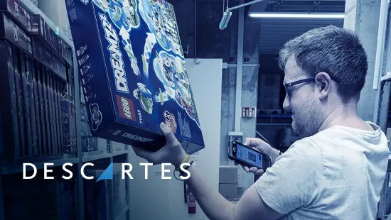 Descartes pixi Steinehelden