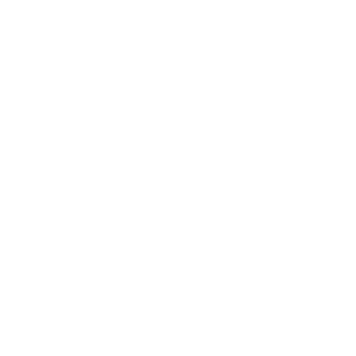 A Customs Brokerage logo